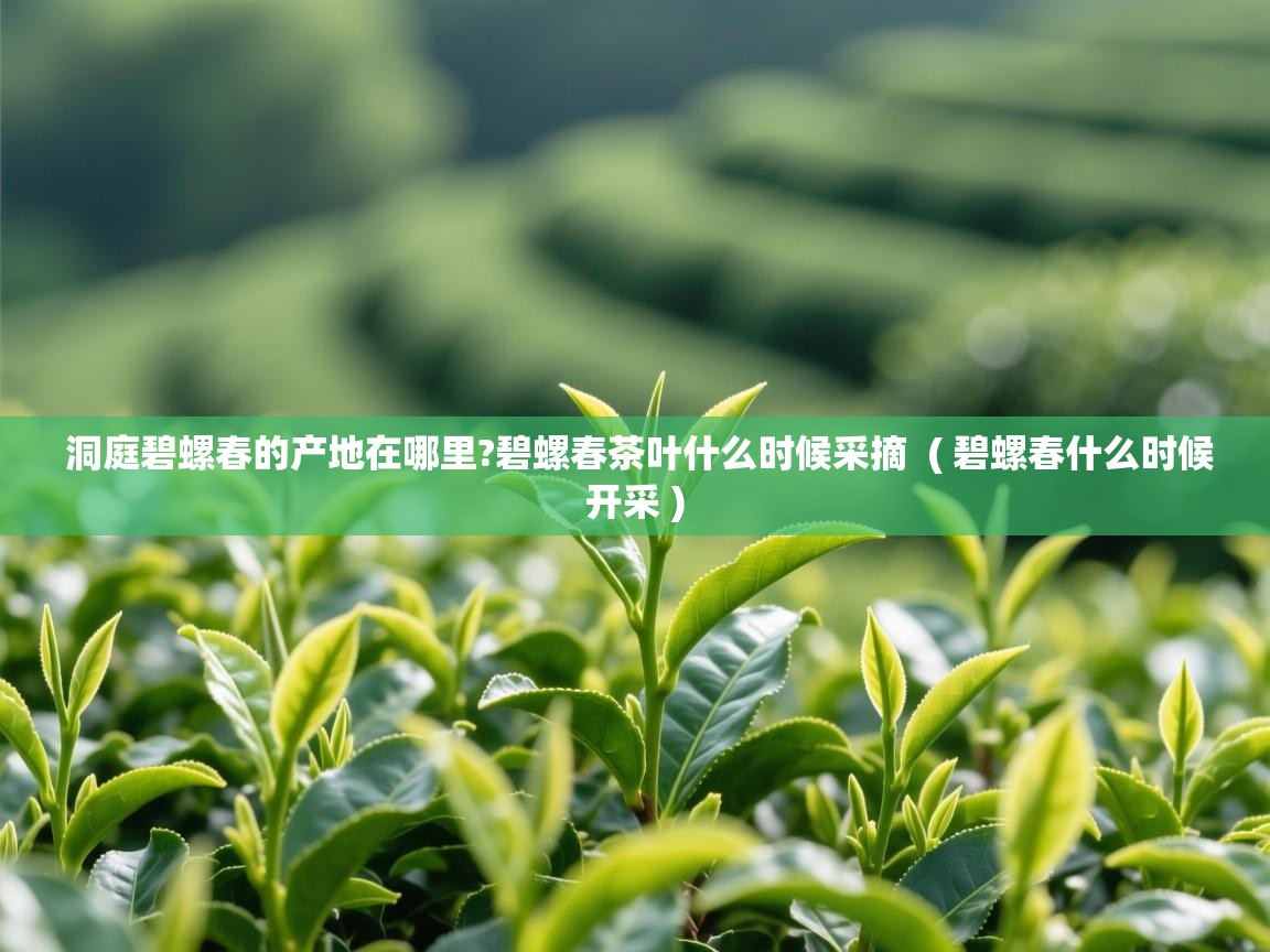  洞庭碧螺春的产地在哪里?碧螺春茶叶什么时候采摘  ( 碧螺春什么时候开采 )