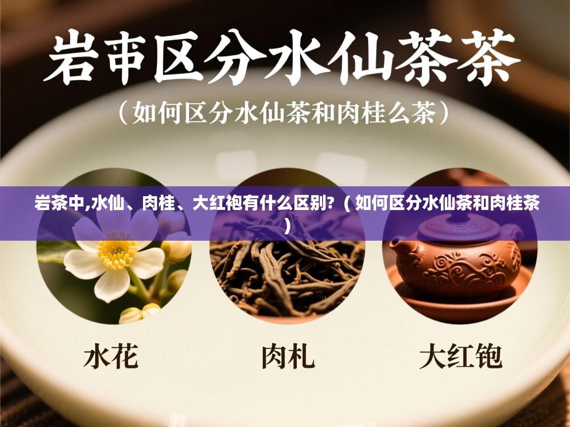  岩茶中,水仙、肉桂、大红袍有什么区别?  ( 如何区分水仙茶和肉桂茶 )