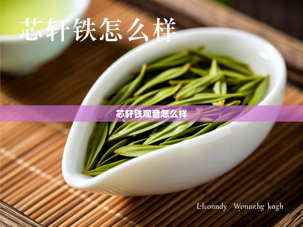 芯轩铁观音怎么样 芯轩铁观音怎么样