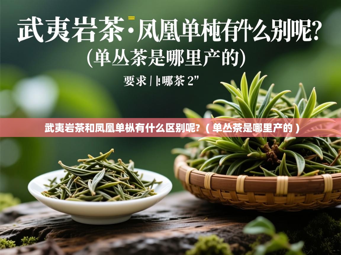  武夷岩茶和凤凰单枞有什么区别呢?  ( 单丛茶是哪里产的 )