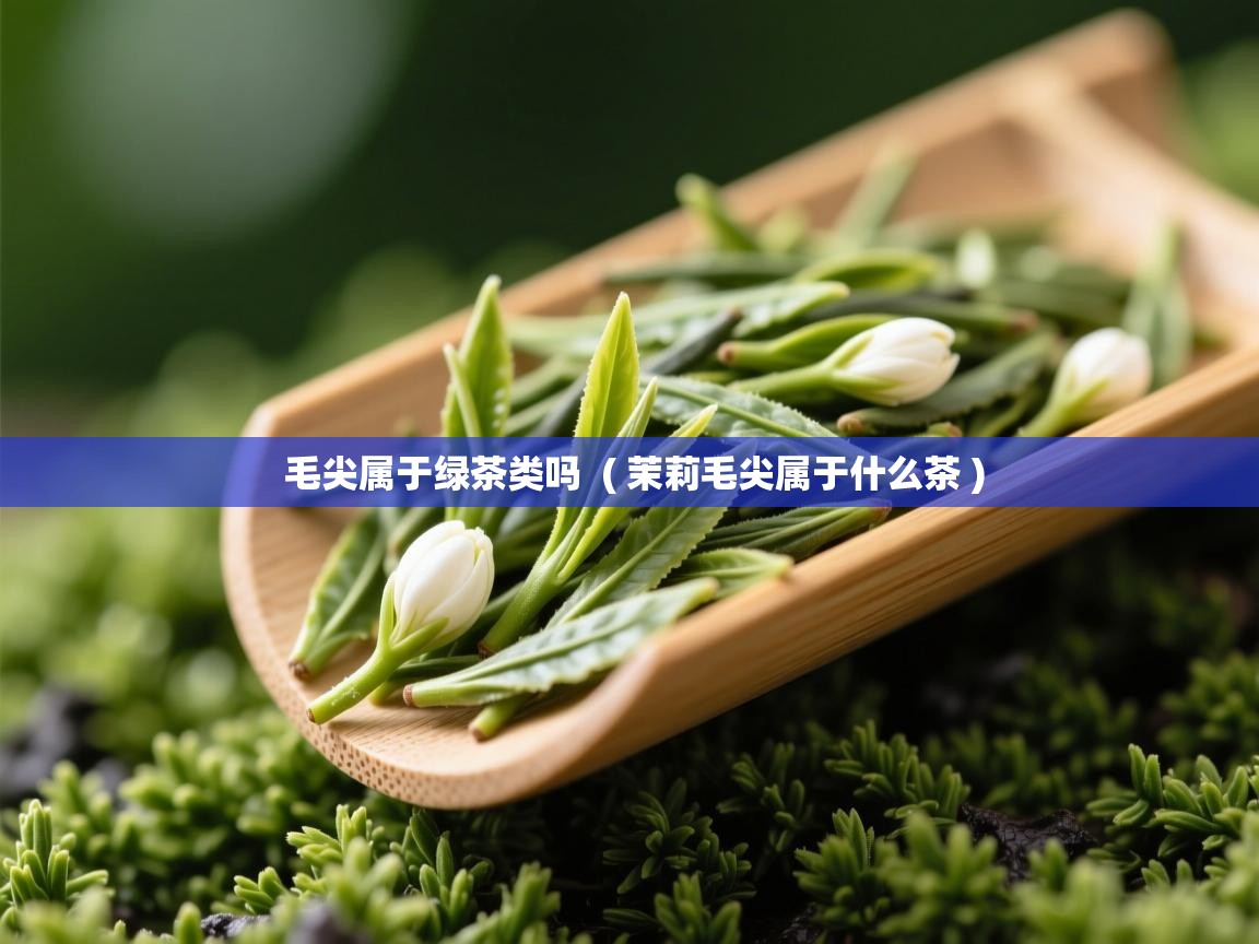  毛尖属于绿茶类吗  ( 茉莉毛尖属于什么茶 )