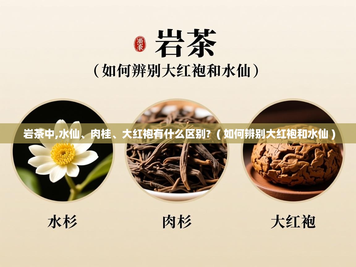  岩茶中,水仙、肉桂、大红袍有什么区别?  ( 如何辨别大红袍和水仙 )