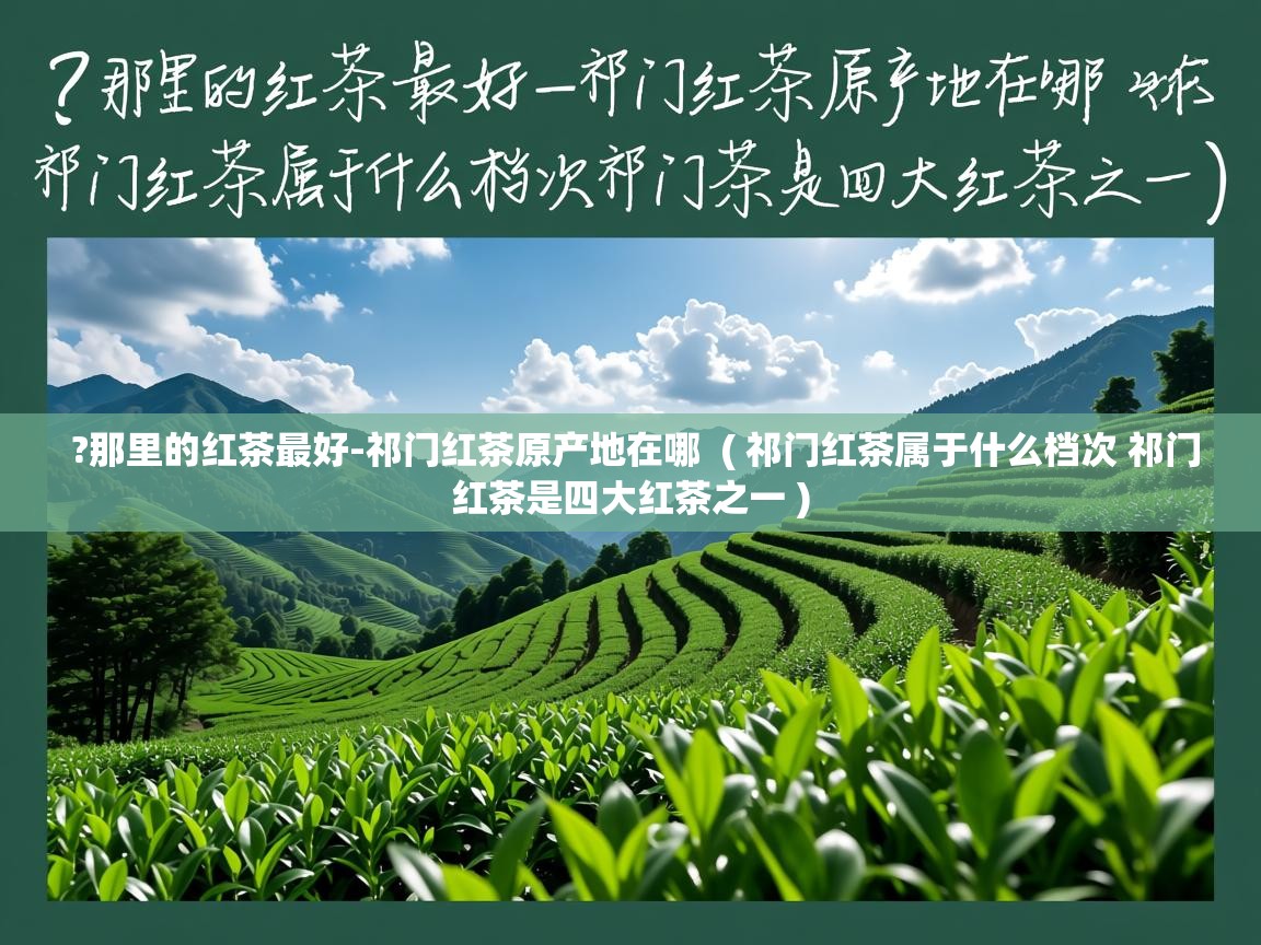  ?那里的红茶最好-祁门红茶原产地在哪  ( 祁门红茶属于什么档次 祁门红茶是四大红茶之一 )