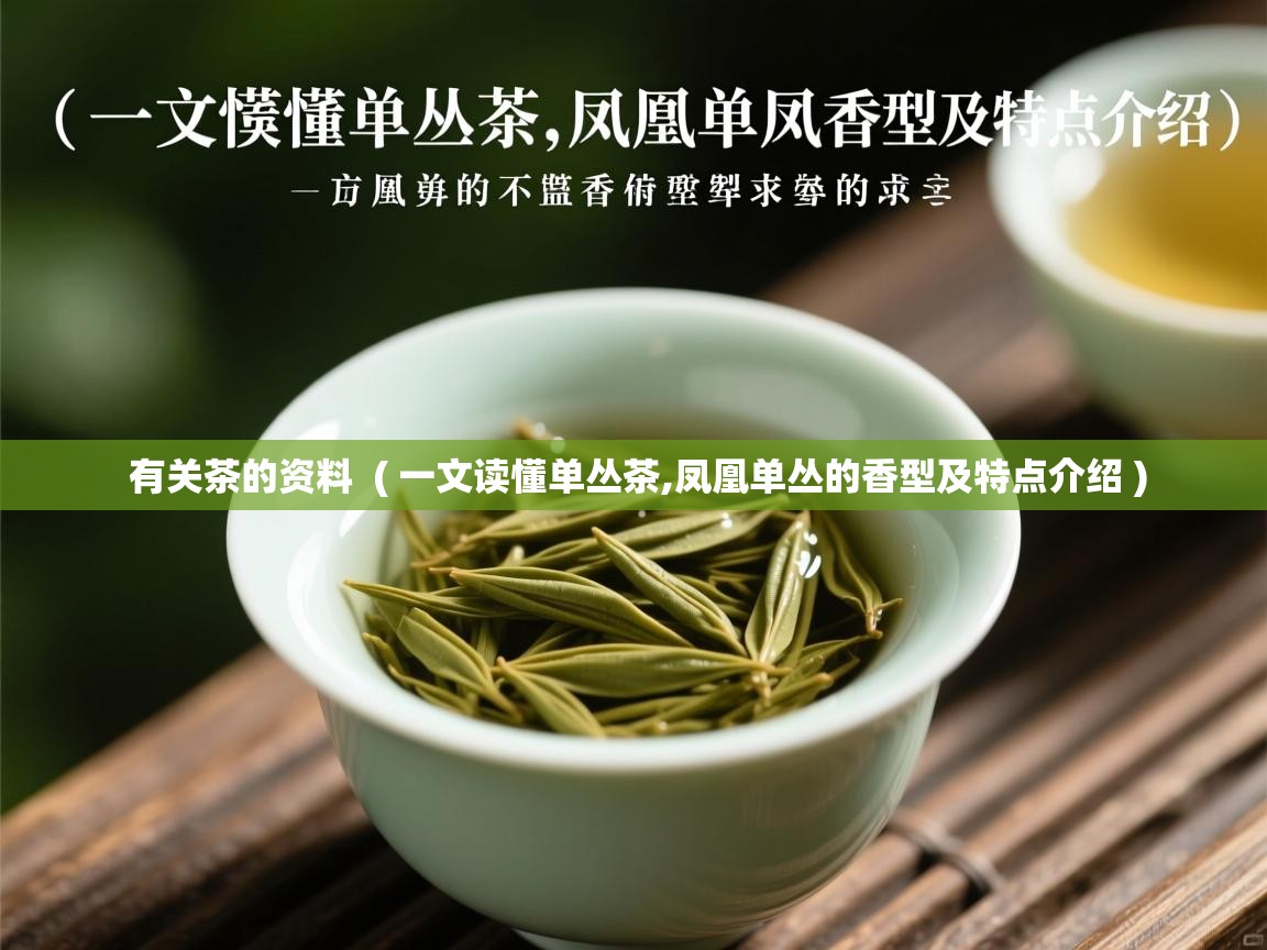  有关茶的资料  ( 一文读懂单丛茶,凤凰单丛的香型及特点介绍 )