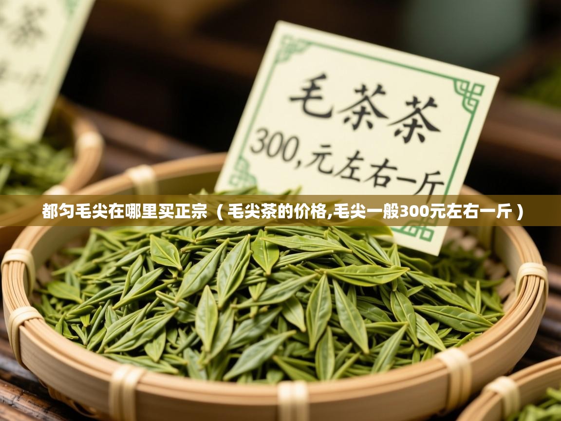  都匀毛尖在哪里买正宗  ( 毛尖茶的价格,毛尖一般300元左右一斤 )
