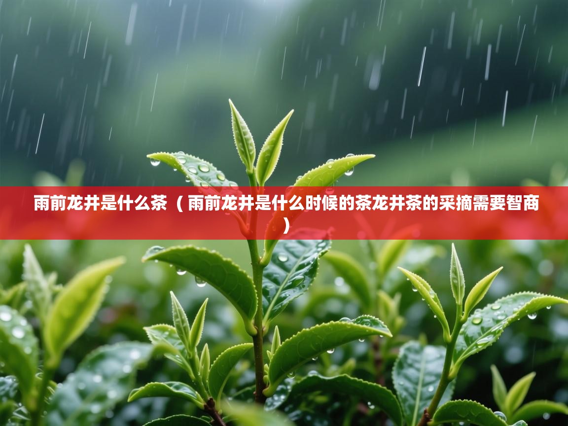  雨前龙井是什么茶  ( 雨前龙井是什么时候的茶龙井茶的采摘需要智商 )