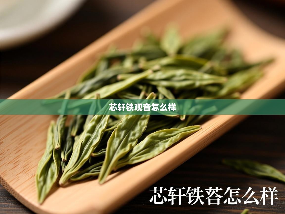  芯轩铁观音怎么样 