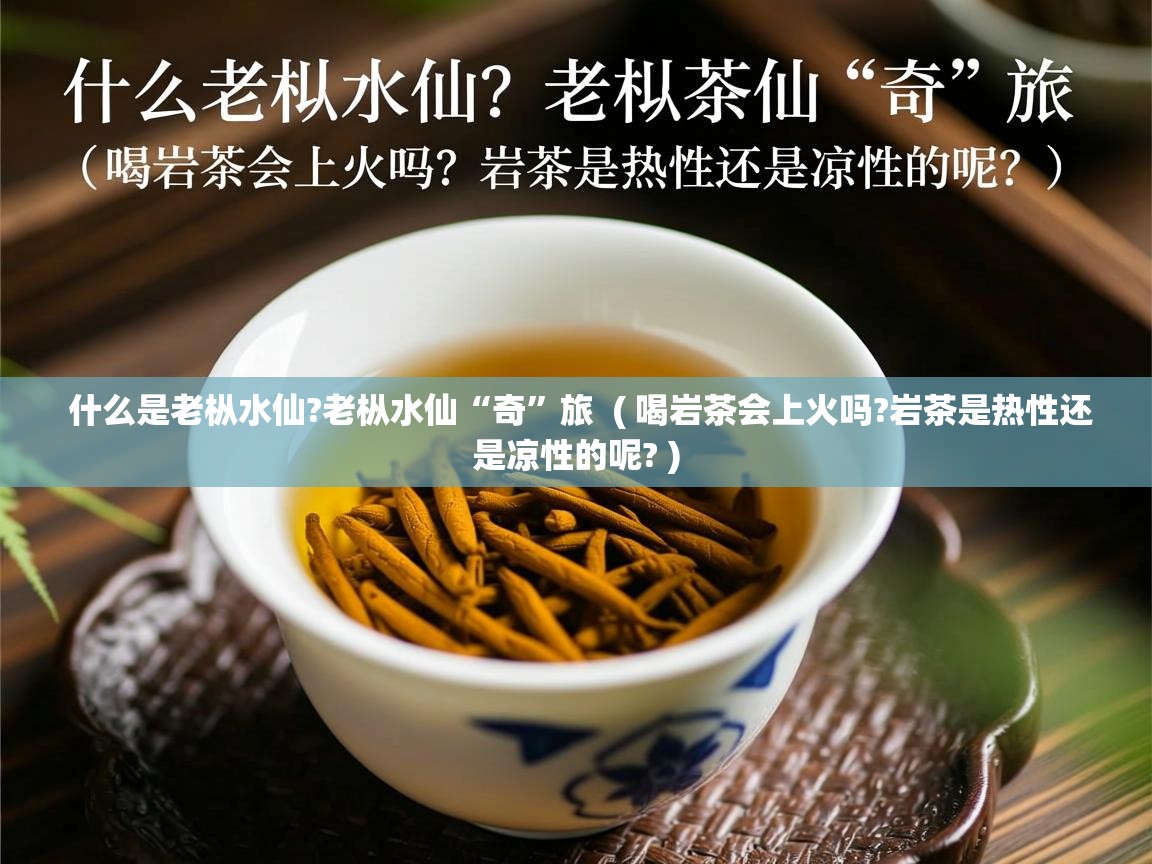  什么是老枞水仙?老枞水仙“奇”旅  ( 喝岩茶会上火吗?岩茶是热性还是凉性的呢? )