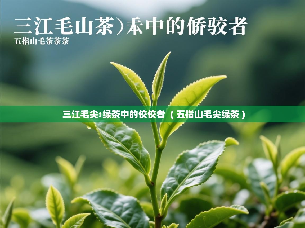  三江毛尖:绿茶中的佼佼者  ( 五指山毛尖绿茶 )