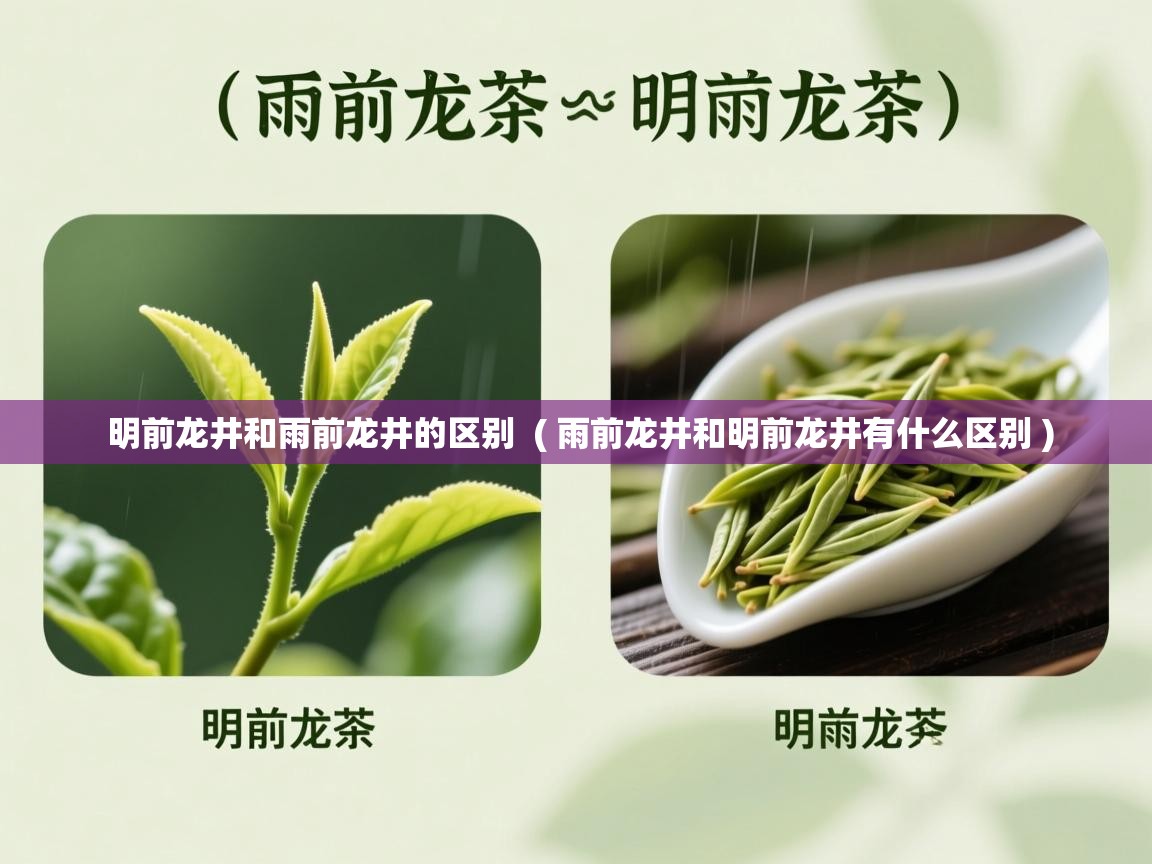  明前龙井和雨前龙井的区别  ( 雨前龙井和明前龙井有什么区别 )
