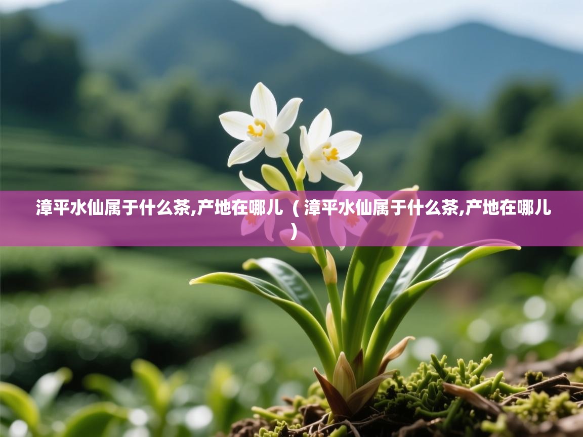  漳平水仙属于什么茶,产地在哪儿  ( 漳平水仙属于什么茶,产地在哪儿 )