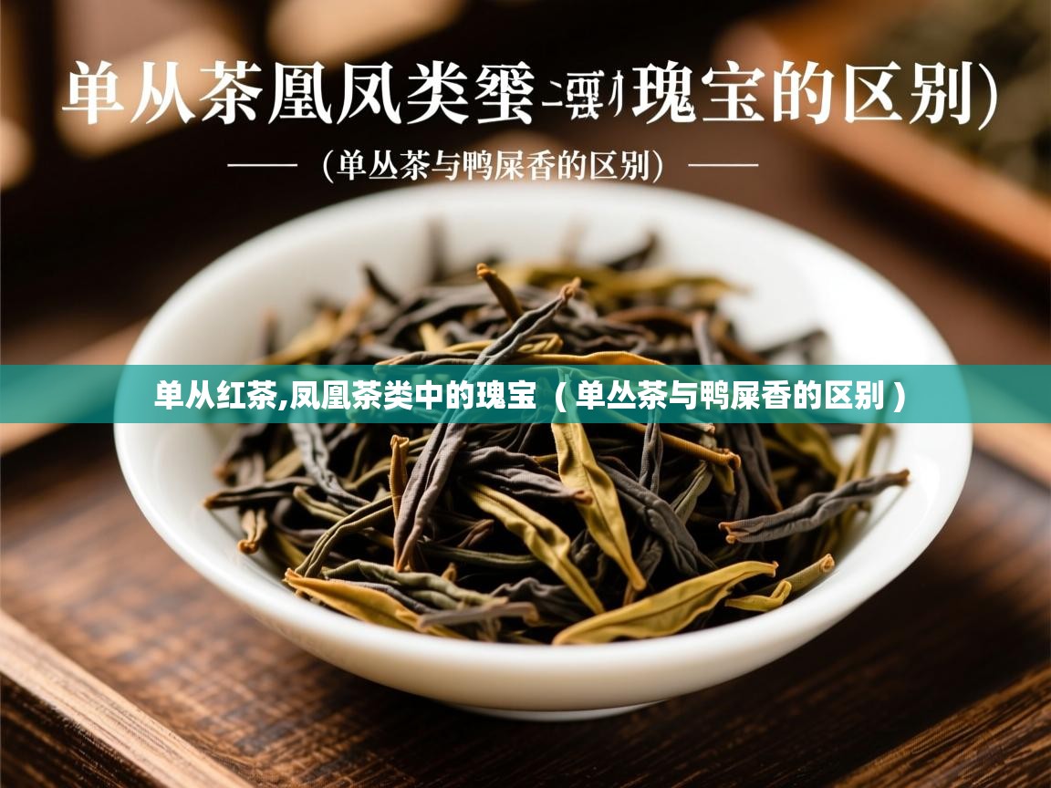  单从红茶,凤凰茶类中的瑰宝  ( 单丛茶与鸭屎香的区别 )