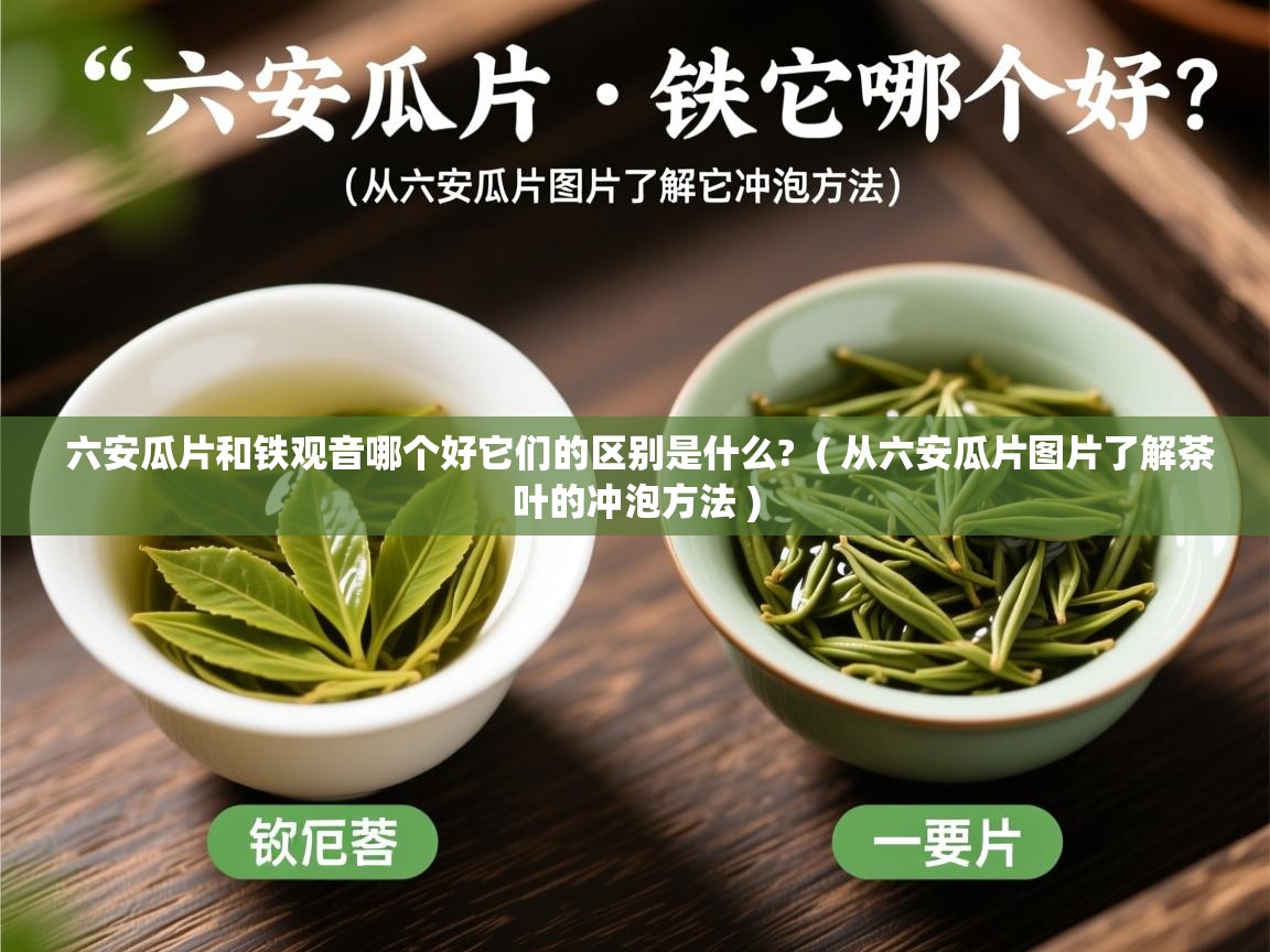  六安瓜片和铁观音哪个好它们的区别是什么?  ( 从六安瓜片图片了解茶叶的冲泡方法 )