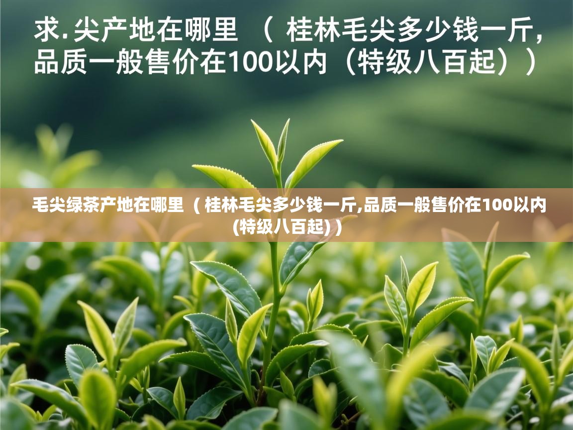  毛尖绿茶产地在哪里  ( 桂林毛尖多少钱一斤,品质一般售价在100以内(特级八百起) )