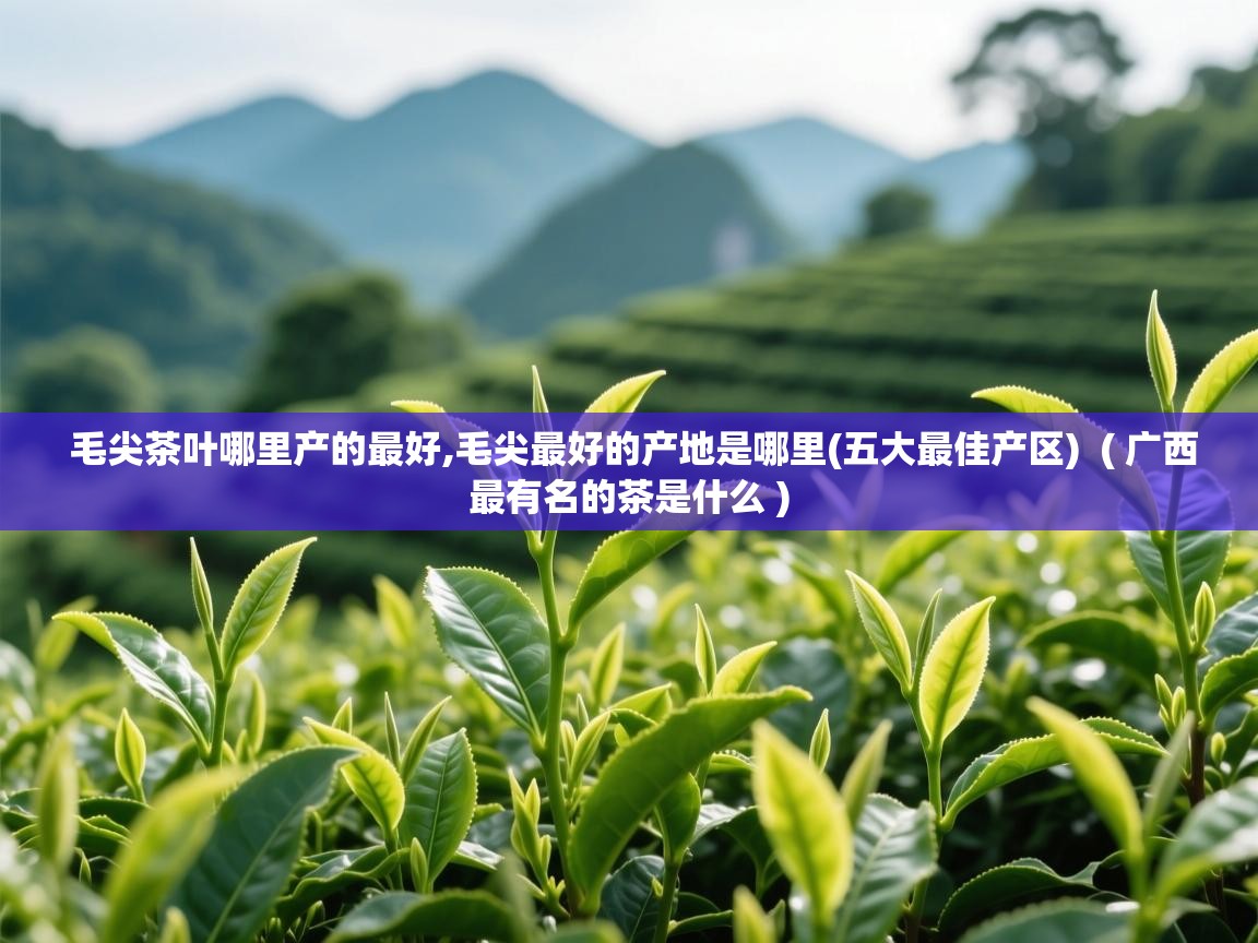  毛尖茶叶哪里产的最好,毛尖最好的产地是哪里(五大最佳产区)  ( 广西最有名的茶是什么 )
