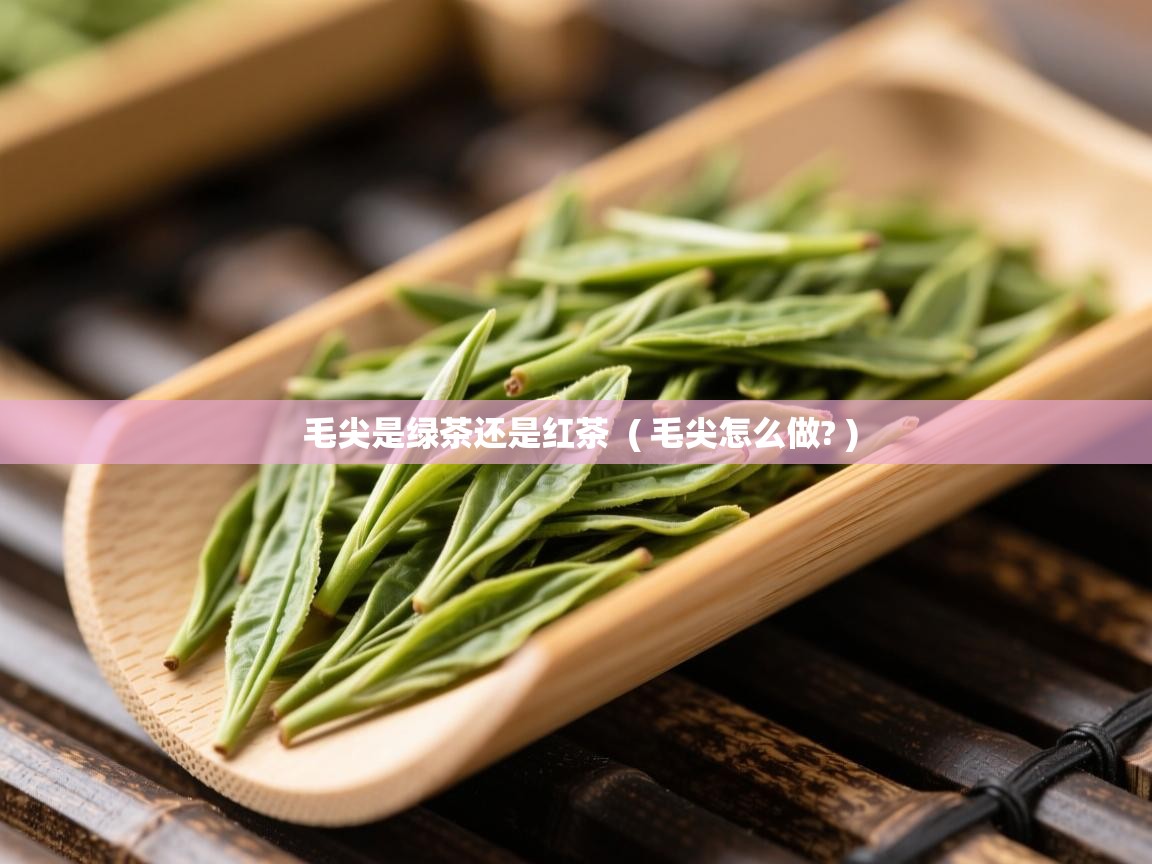  毛尖是绿茶还是红茶  ( 毛尖怎么做? )