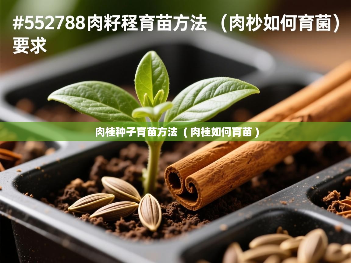  ﻿肉桂种子育苗方法  ( 肉桂如何育苗 )