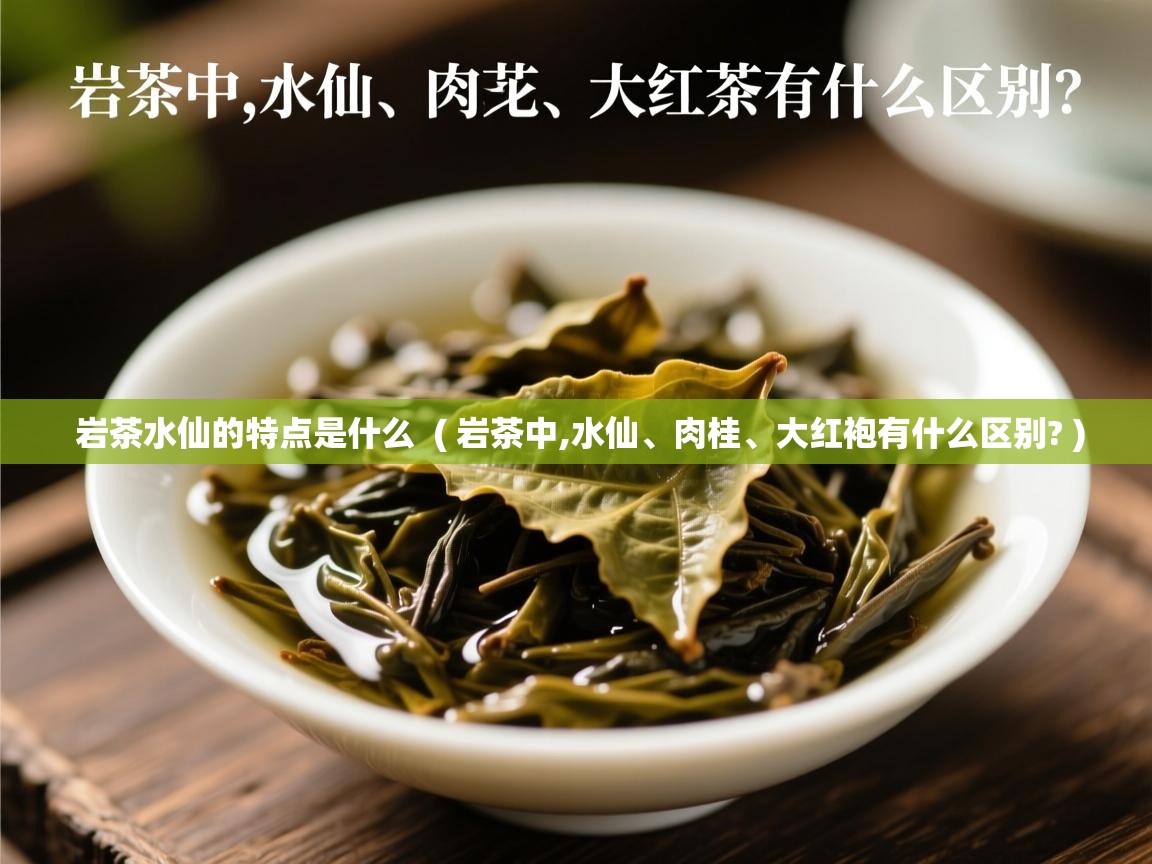  岩茶水仙的特点是什么  ( 岩茶中,水仙、肉桂、大红袍有什么区别? )