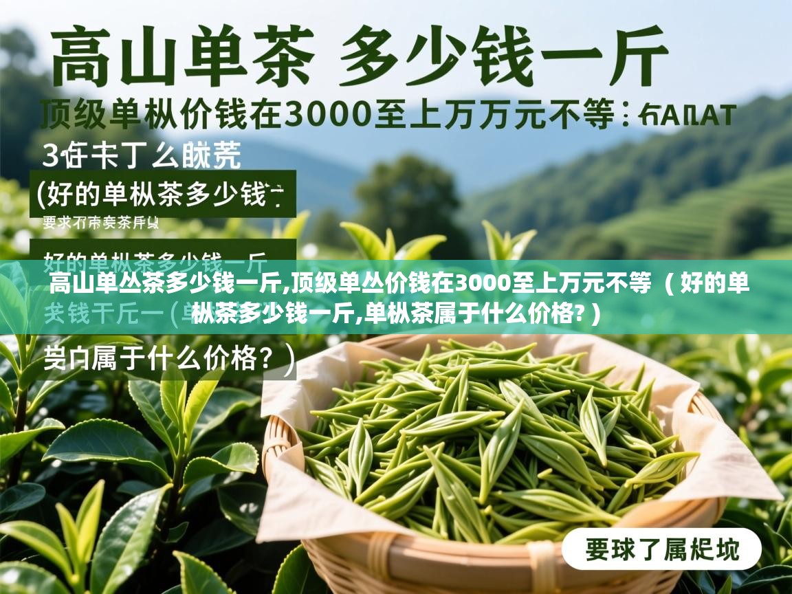  高山单丛茶多少钱一斤,顶级单丛价钱在3000至上万元不等  ( 好的单枞茶多少钱一斤,单枞茶属于什么价格? )