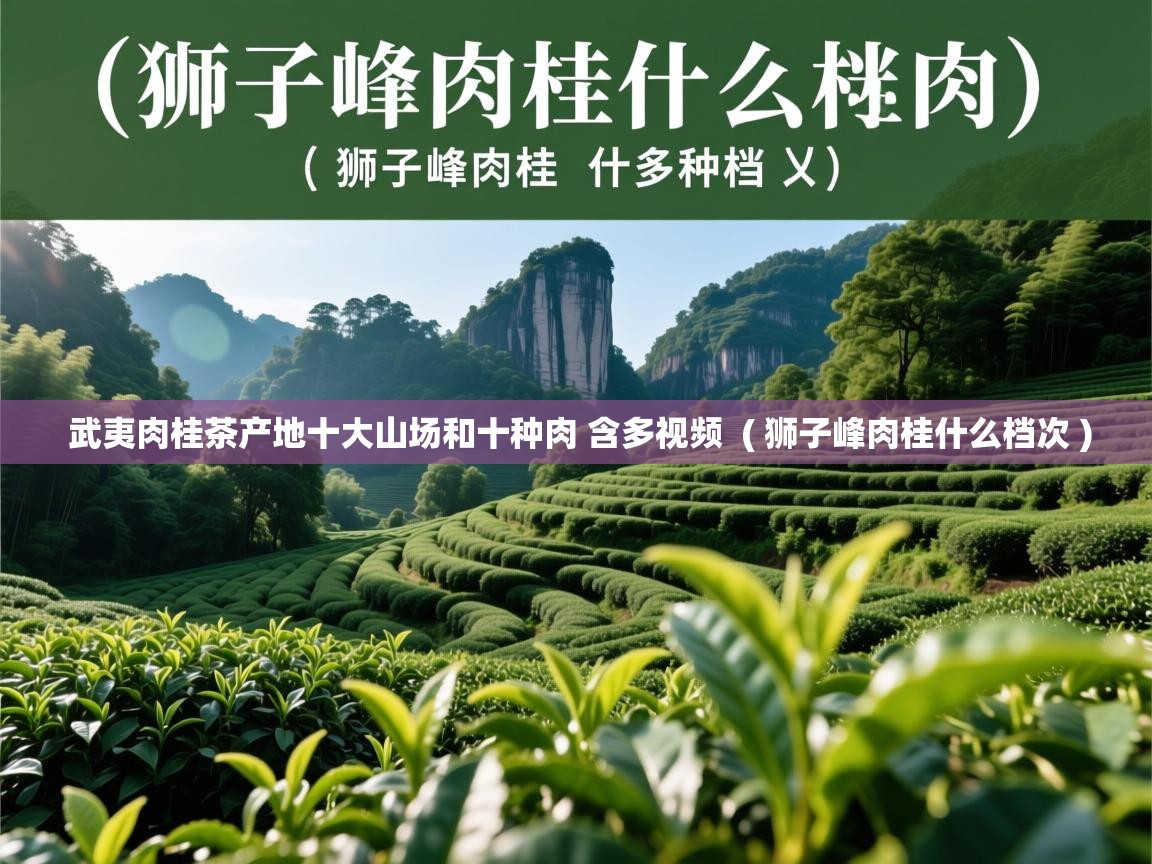  武夷肉桂茶产地十大山场和十种肉 含多视频  ( 狮子峰肉桂什么档次 )