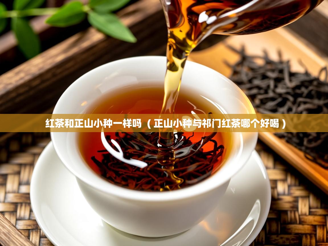  红茶和正山小种一样吗  ( 正山小种与祁门红茶哪个好喝 )