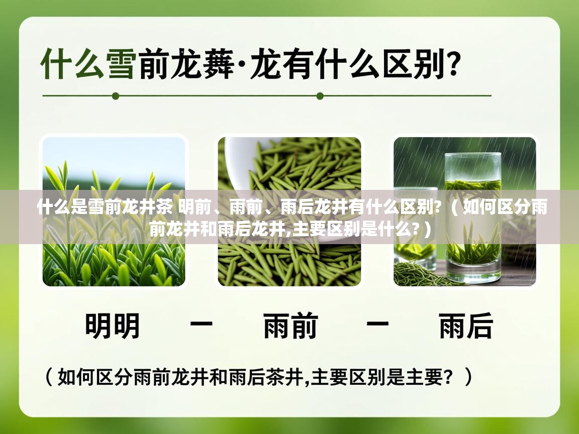  什么是雪前龙井茶 明前、雨前、雨后龙井有什么区别?  ( 如何区分雨前龙井和雨后龙井,主要区别是什么? )