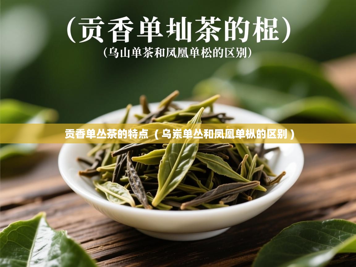  贡香单丛茶的特点  ( 乌岽单丛和凤凰单枞的区别 )