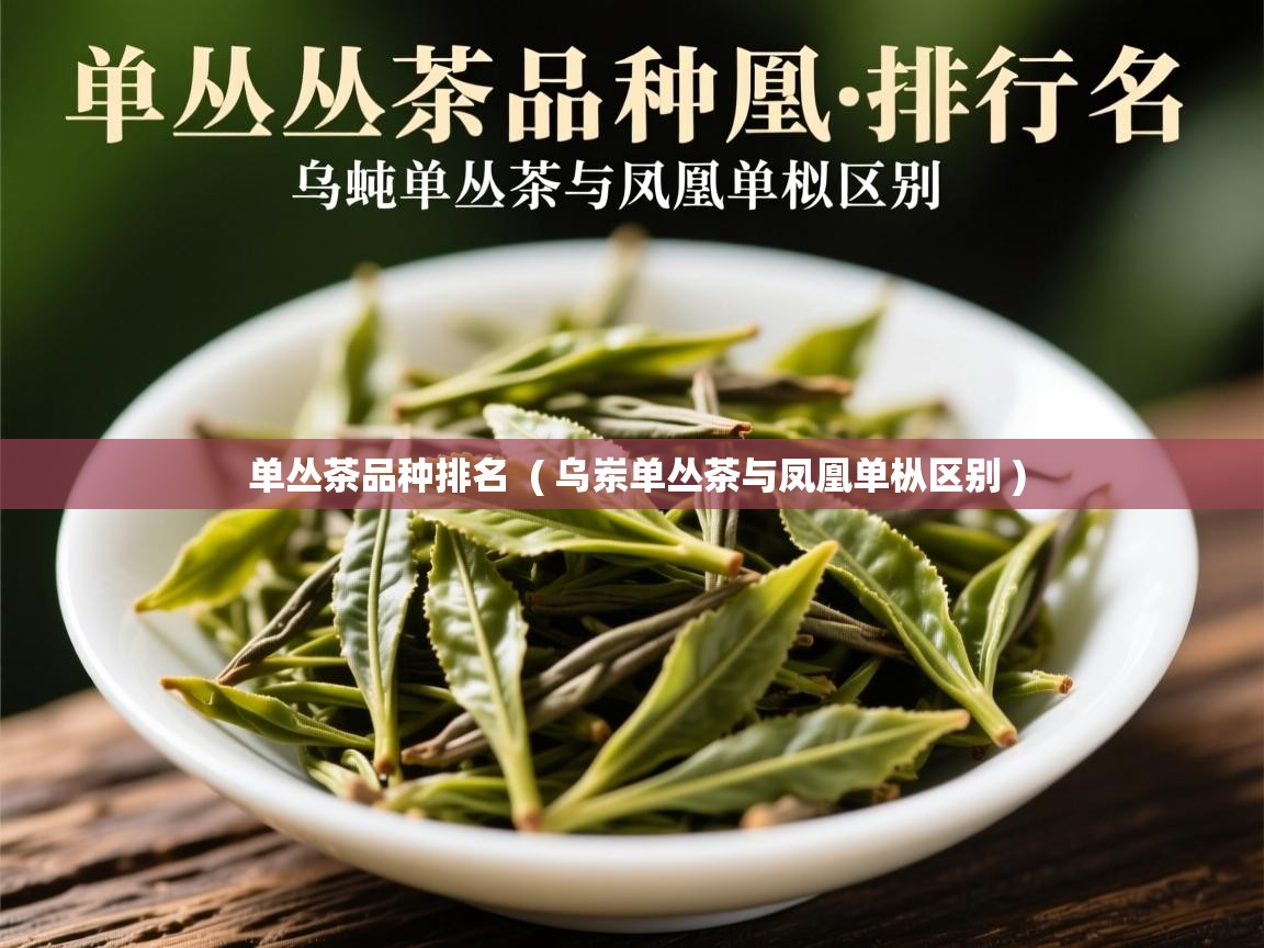  单丛茶品种排名  ( 乌岽单丛茶与凤凰单枞区别 )