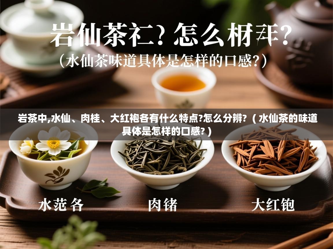  岩茶中,水仙、肉桂、大红袍各有什么特点?怎么分辨?  ( 水仙茶的味道具体是怎样的口感? )