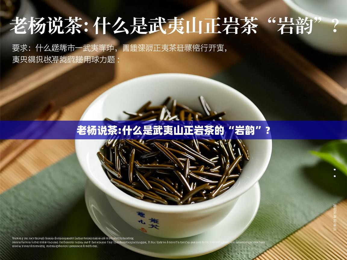  老杨说茶:什么是武夷山正岩茶的“岩韵”? 