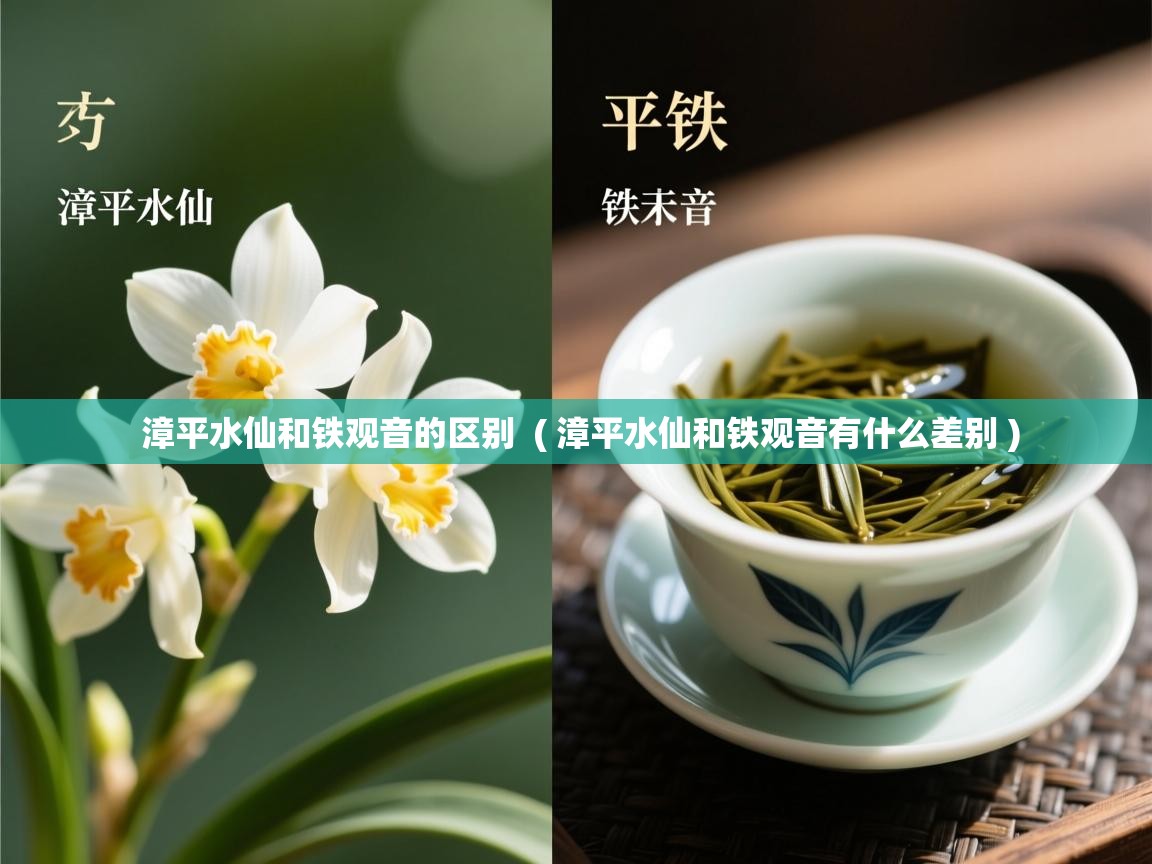  漳平水仙和铁观音的区别  ( 漳平水仙和铁观音有什么差别 )