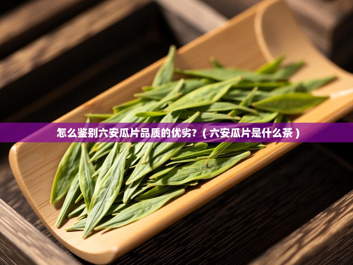  怎么鉴别六安瓜片品质的优劣?  ( 六安瓜片是什么茶 )