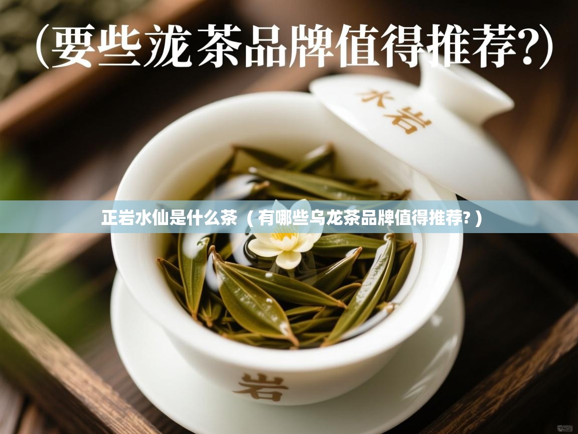  正岩水仙是什么茶  ( 有哪些乌龙茶品牌值得推荐? )