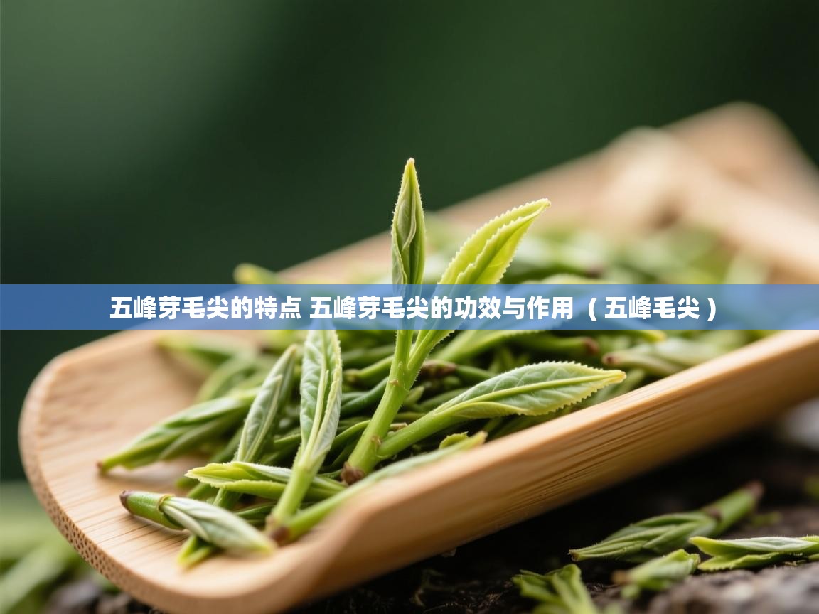  五峰芽毛尖的特点 五峰芽毛尖的功效与作用  ( 五峰毛尖 )