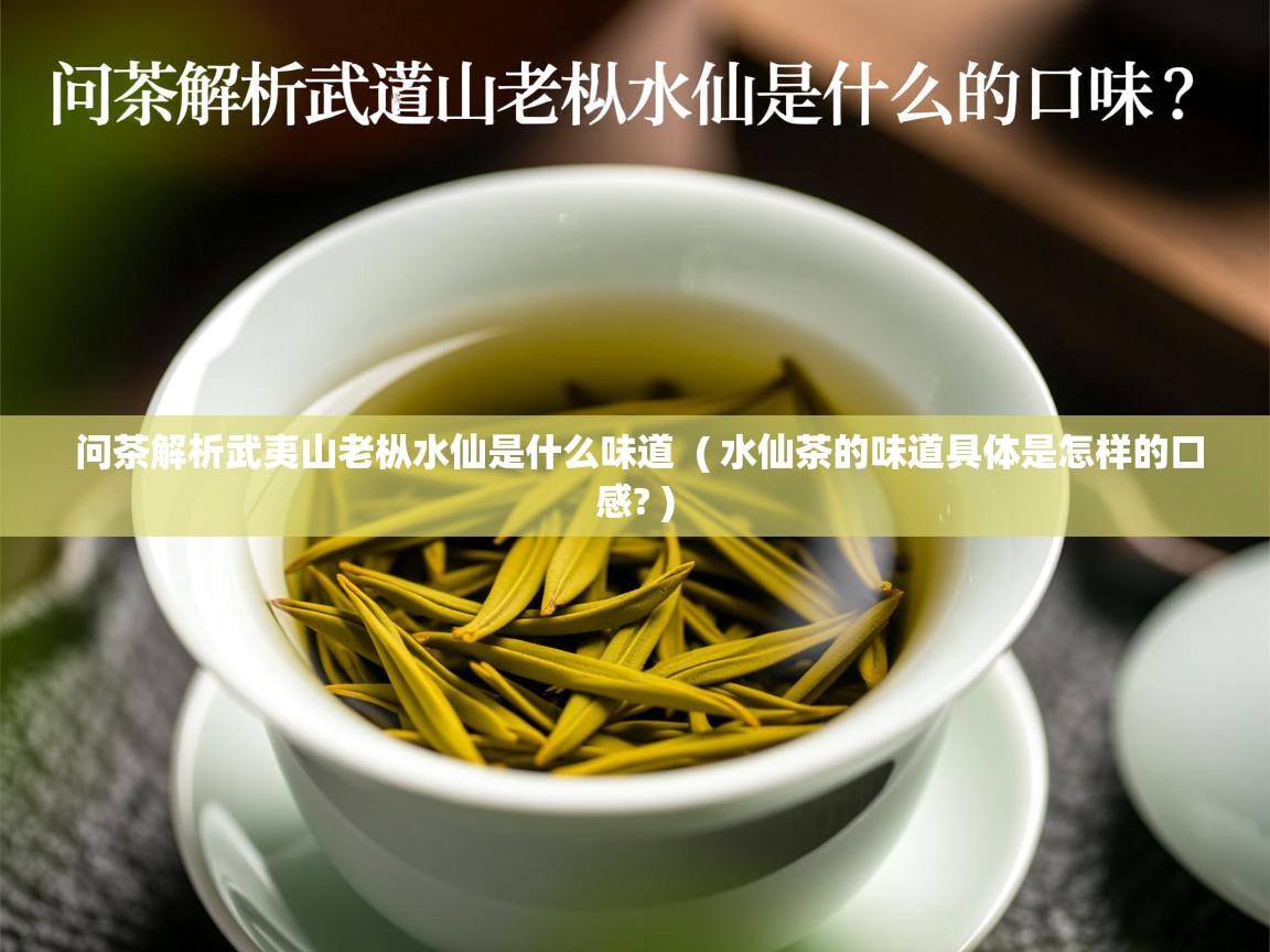  问茶解析武夷山老枞水仙是什么味道  ( 水仙茶的味道具体是怎样的口感? )