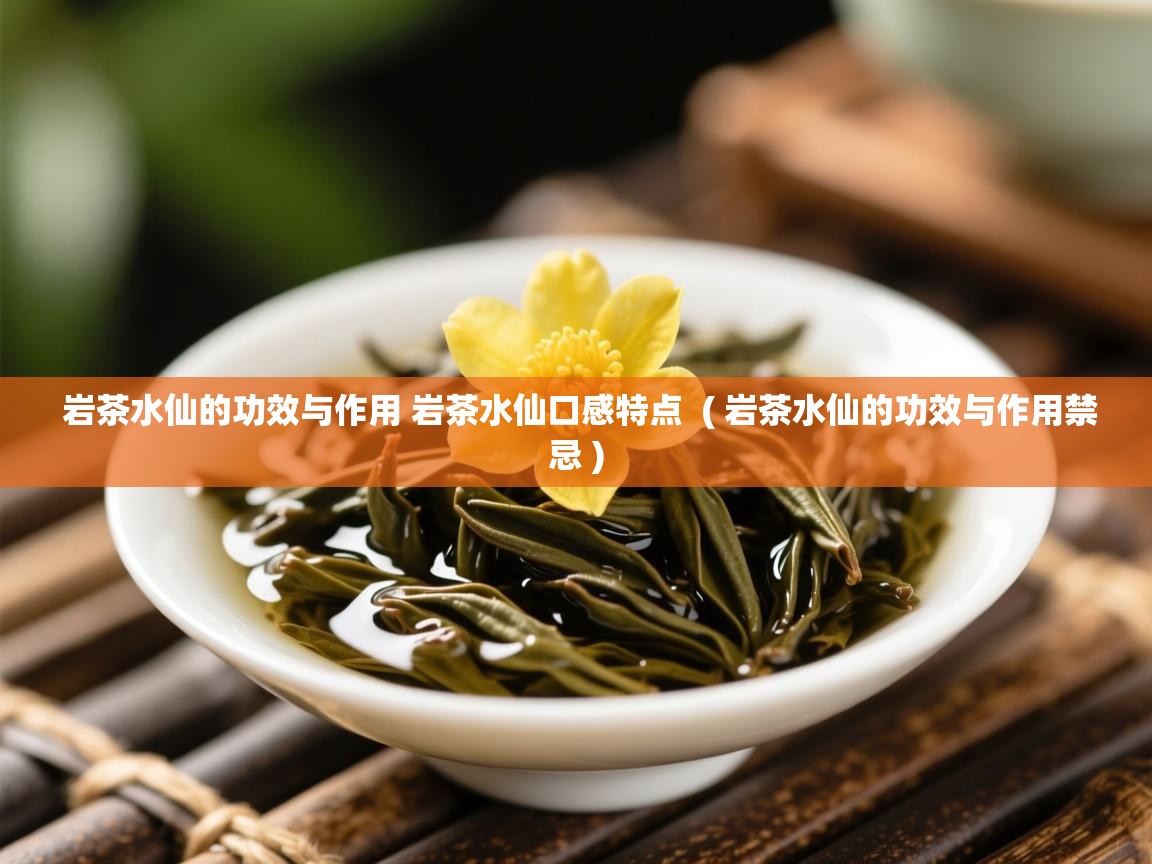  岩茶水仙的功效与作用 岩茶水仙口感特点  ( 岩茶水仙的功效与作用禁忌 )