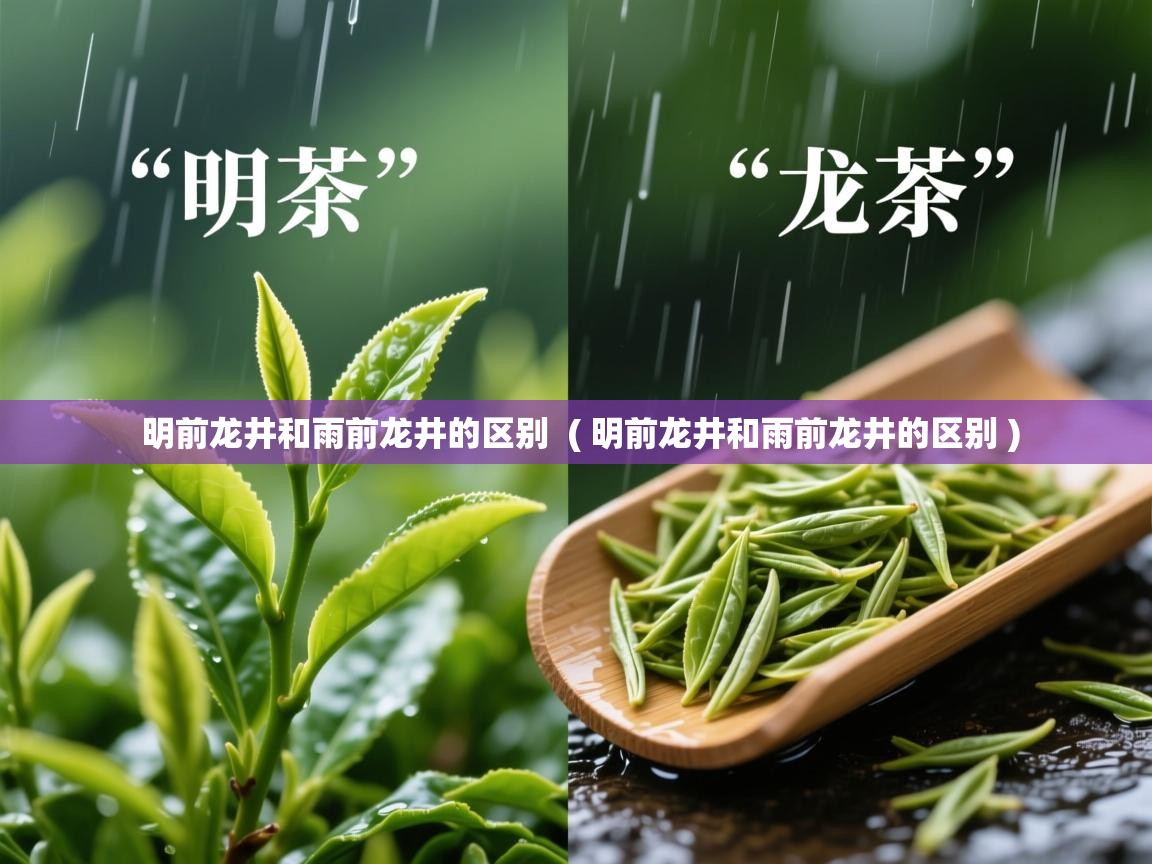  明前龙井和雨前龙井的区别  ( 明前龙井和雨前龙井的区别 )