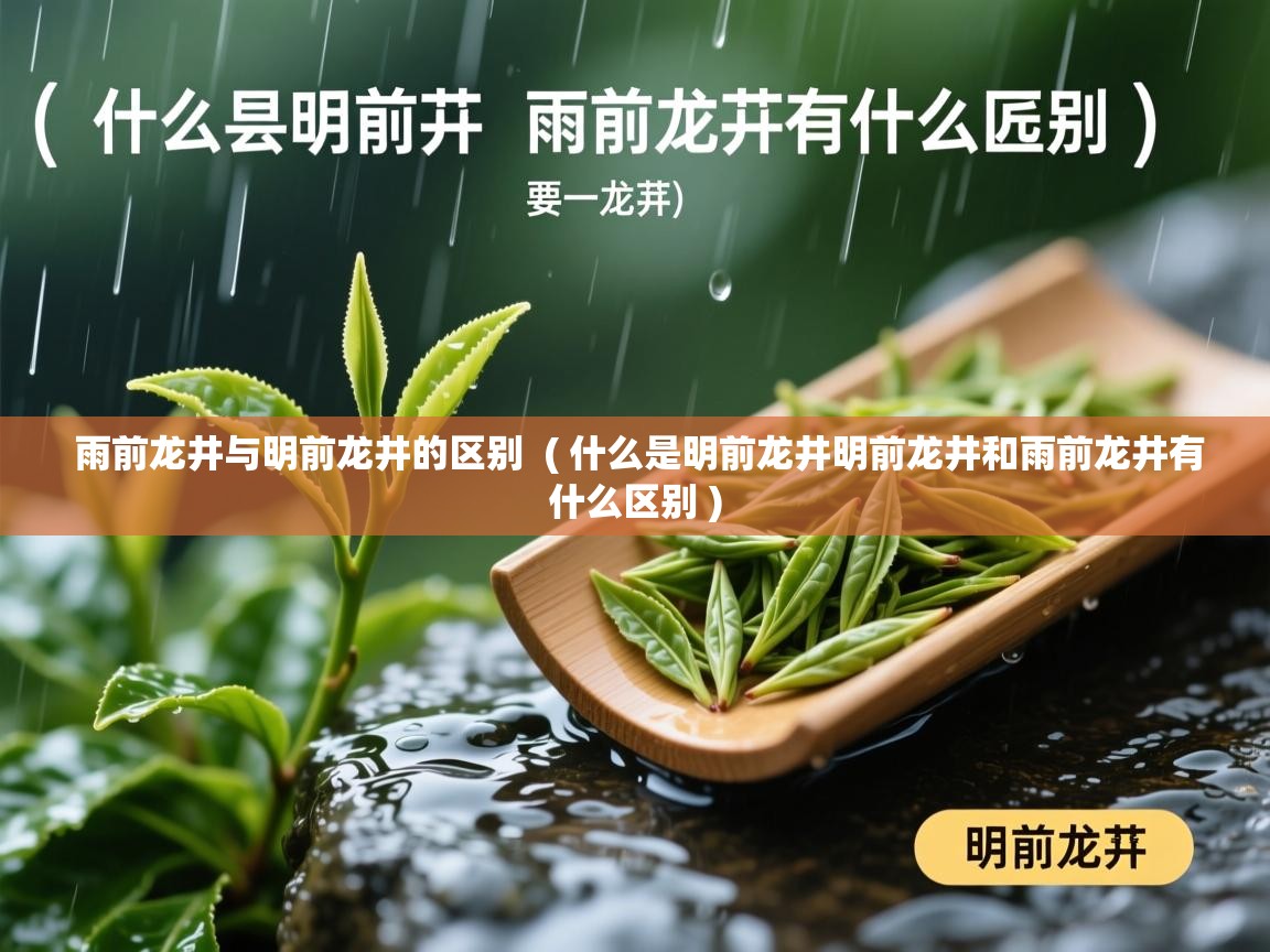  雨前龙井与明前龙井的区别  ( 什么是明前龙井明前龙井和雨前龙井有什么区别 )