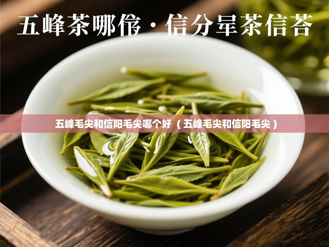  五峰毛尖和信阳毛尖哪个好  ( 五峰毛尖和信阳毛尖 )