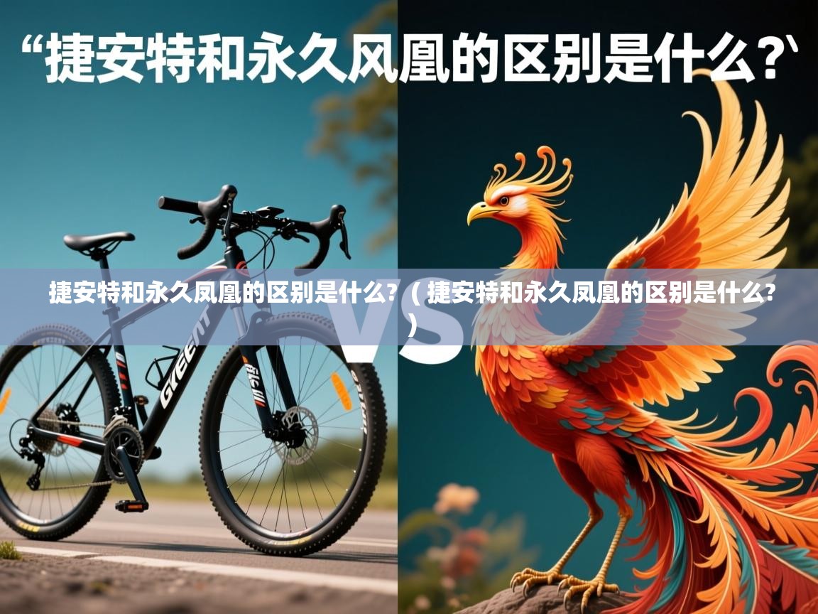  捷安特和永久凤凰的区别是什么?  ( 捷安特和永久凤凰的区别是什么? )