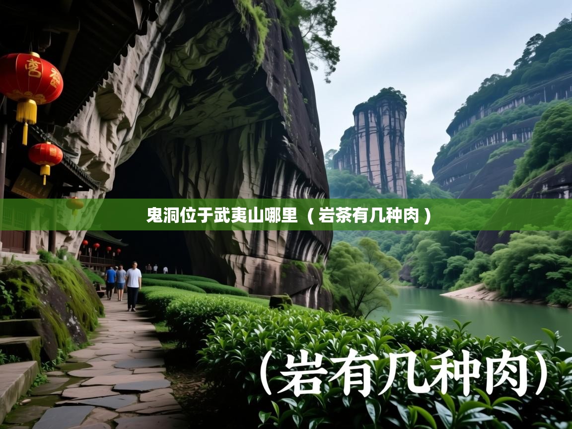 鬼洞位于武夷山哪里 ( 岩茶有几种肉 ) 鬼洞位于武夷山哪里 ( 岩茶有几种肉 )