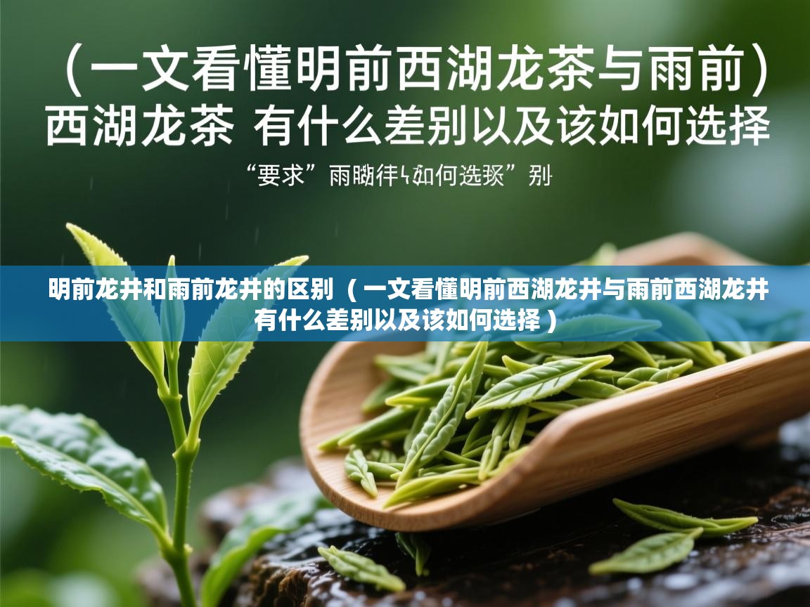  明前龙井和雨前龙井的区别  ( 一文看懂明前西湖龙井与雨前西湖龙井有什么差别以及该如何选择 )