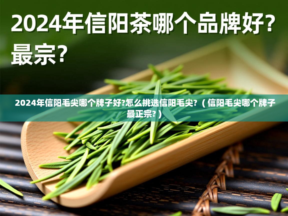  2024年信阳毛尖哪个牌子好?怎么挑选信阳毛尖?  ( 信阳毛尖哪个牌子最正宗? )