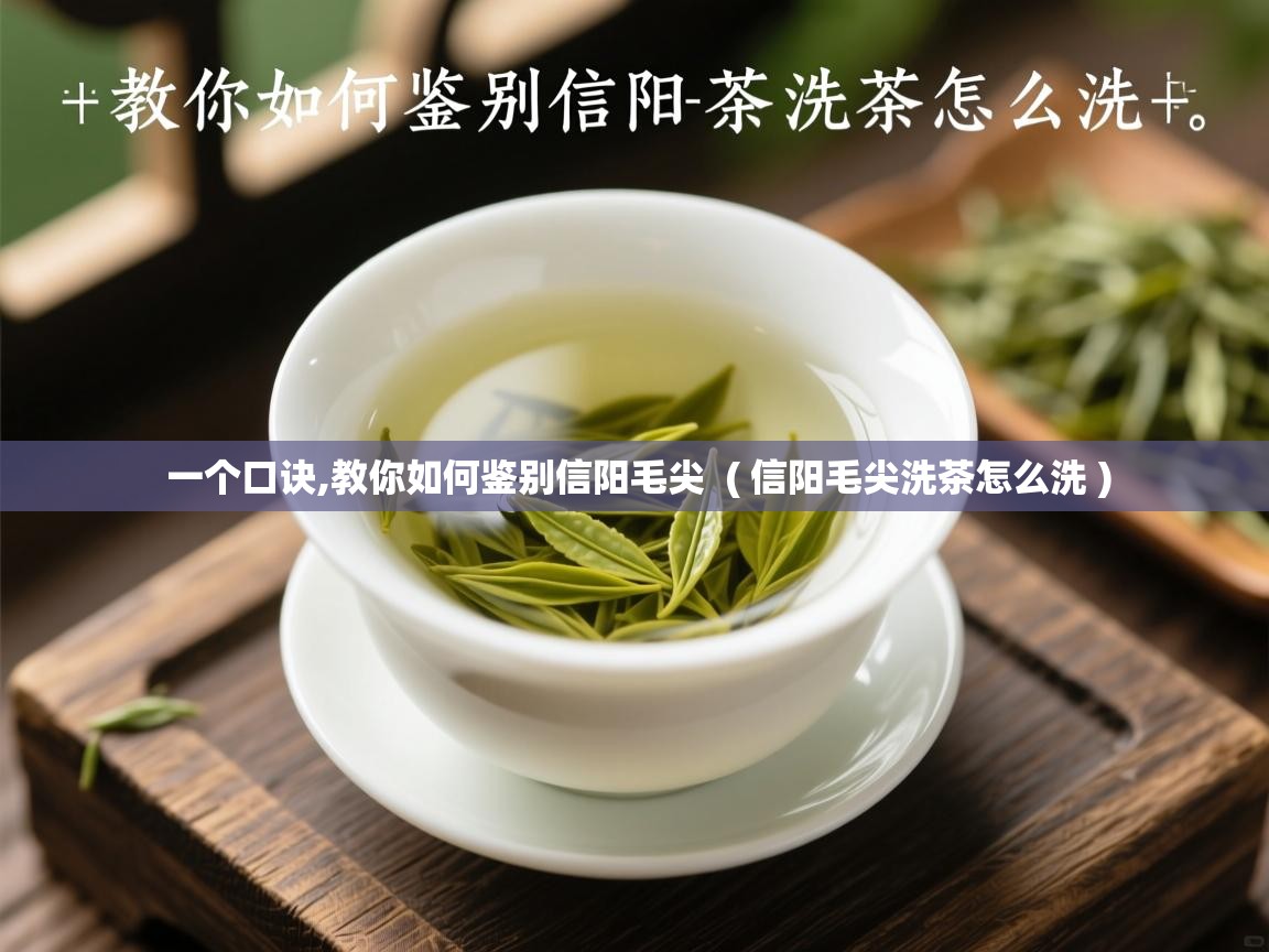  一个口诀,教你如何鉴别信阳毛尖  ( 信阳毛尖洗茶怎么洗 )