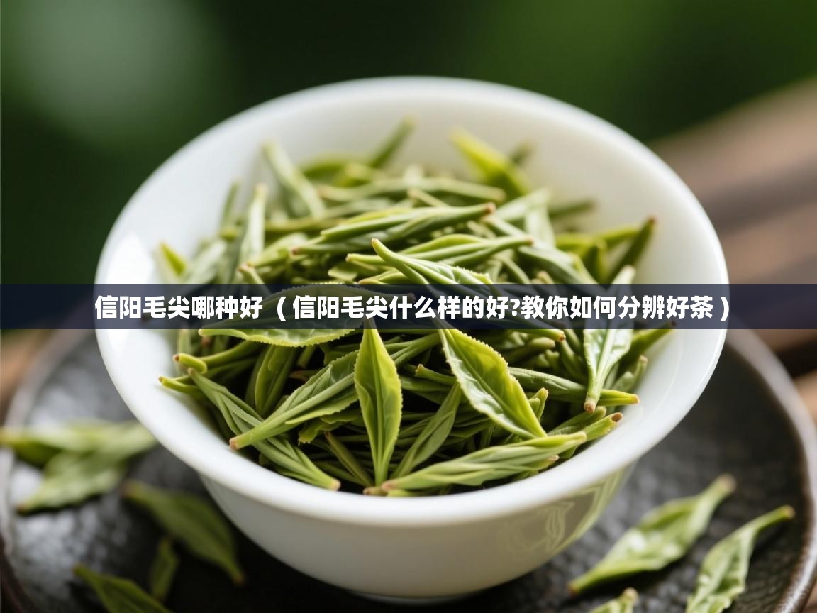  信阳毛尖哪种好  ( 信阳毛尖什么样的好?教你如何分辨好茶 )