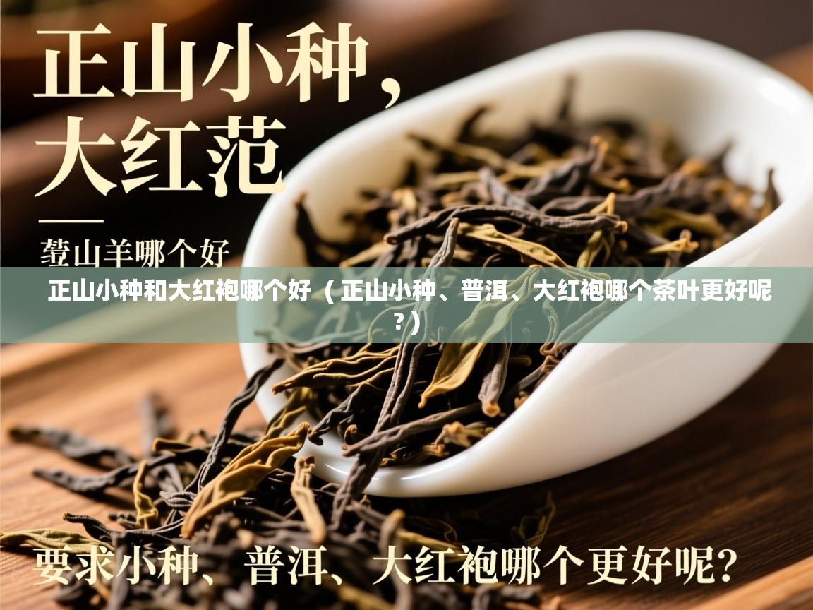  正山小种和大红袍哪个好  ( 正山小种、普洱、大红袍哪个茶叶更好呢? )