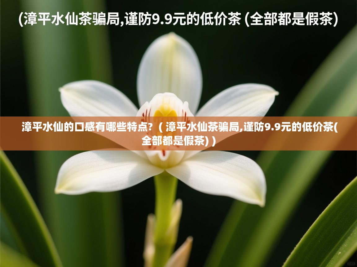  漳平水仙的口感有哪些特点?  ( 漳平水仙茶骗局,谨防9.9元的低价茶(全部都是假茶) )
