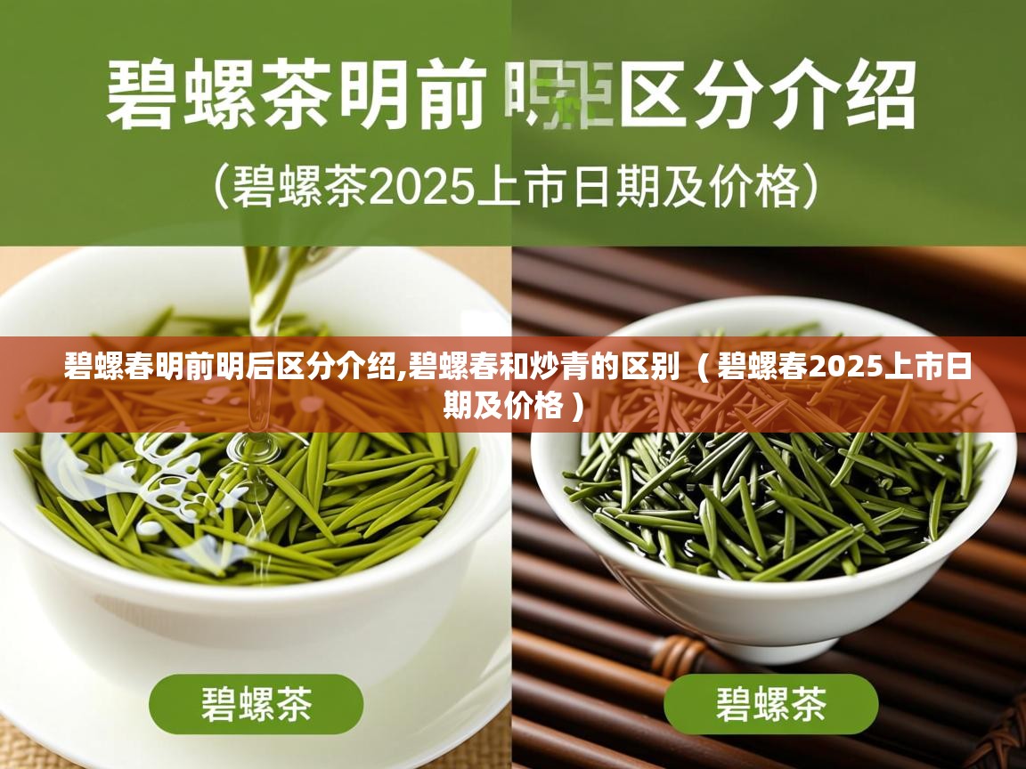 碧螺春明前明后区分介绍,碧螺春和炒青的区别 ( 碧螺春2025上市日期及价格 ) 碧螺春明前明后区分介绍,碧螺春和炒青的区别 ( 碧螺春2025上市日期及价格 )