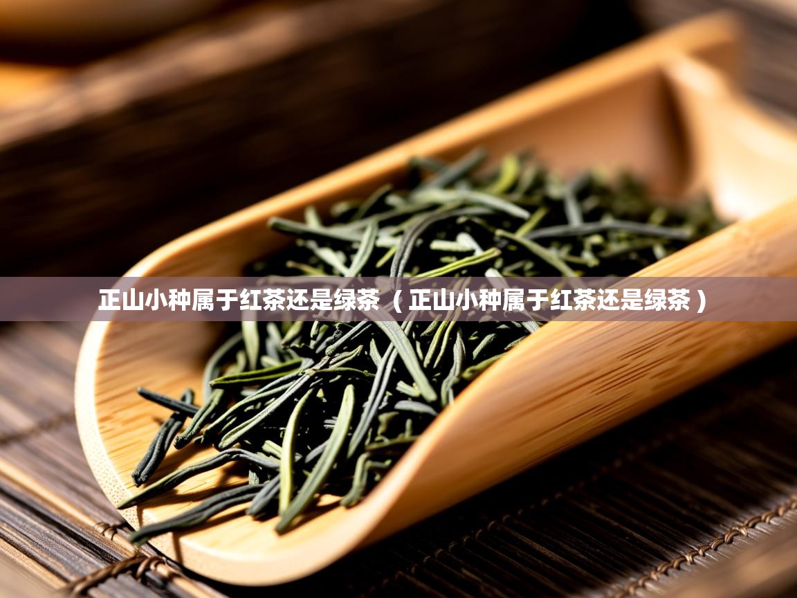  正山小种属于红茶还是绿茶  ( 正山小种属于红茶还是绿茶 )