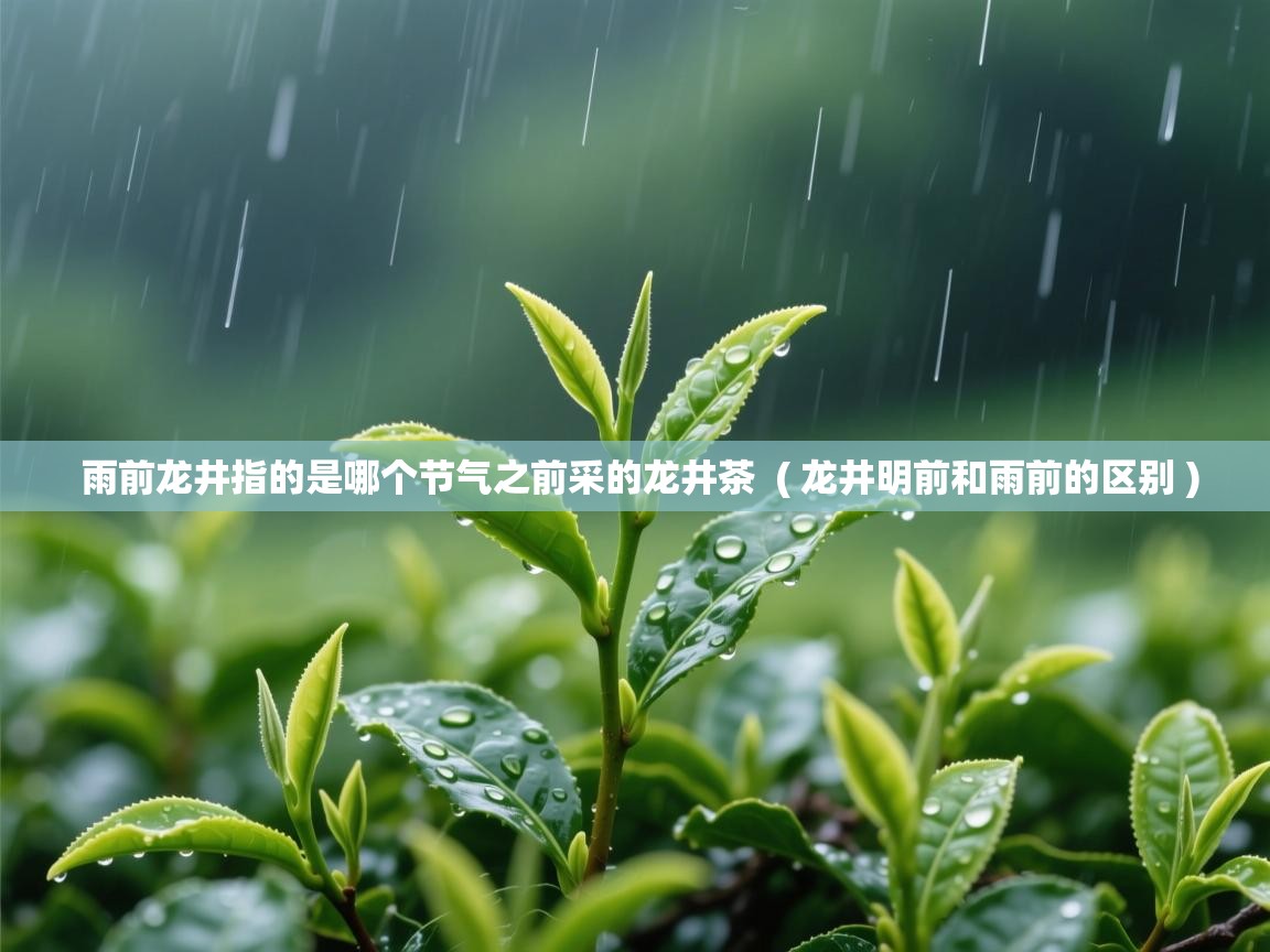  雨前龙井指的是哪个节气之前采的龙井茶  ( 龙井明前和雨前的区别 )